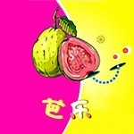莲藕短视频最新版