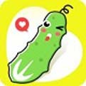 野花视频手机在线观看免费版