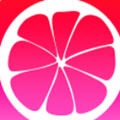 鉴黄师下载地址