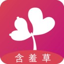 狼群 影院 在线直播免费观看