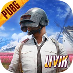 PUBG国际服官网版_logo